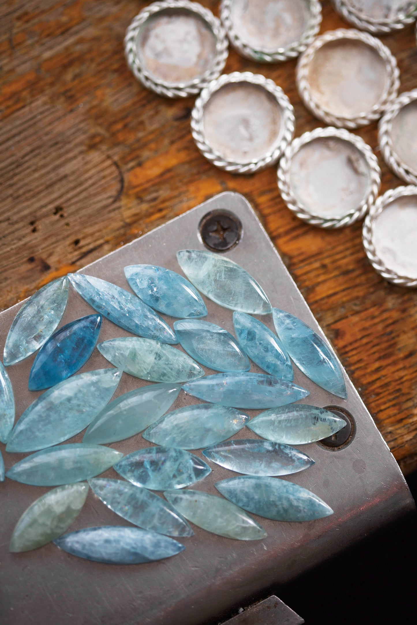 Fins of Frost Necklace | #1