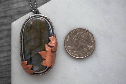 My November Guest | #1