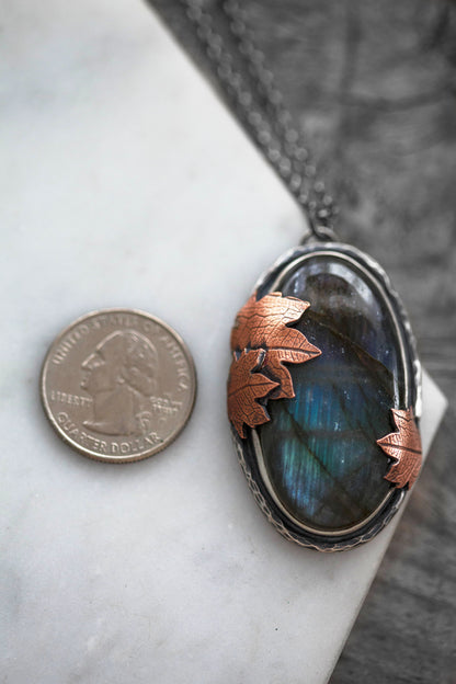 My November Guest | #6