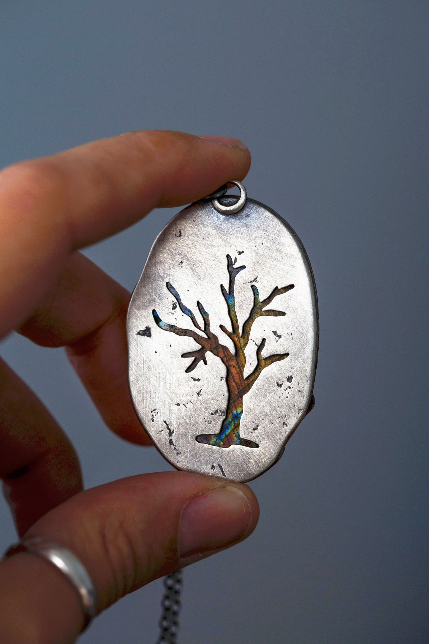 My November Guest | #11