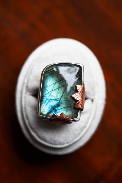 Size 9.5 | My November Guest Ring | #11