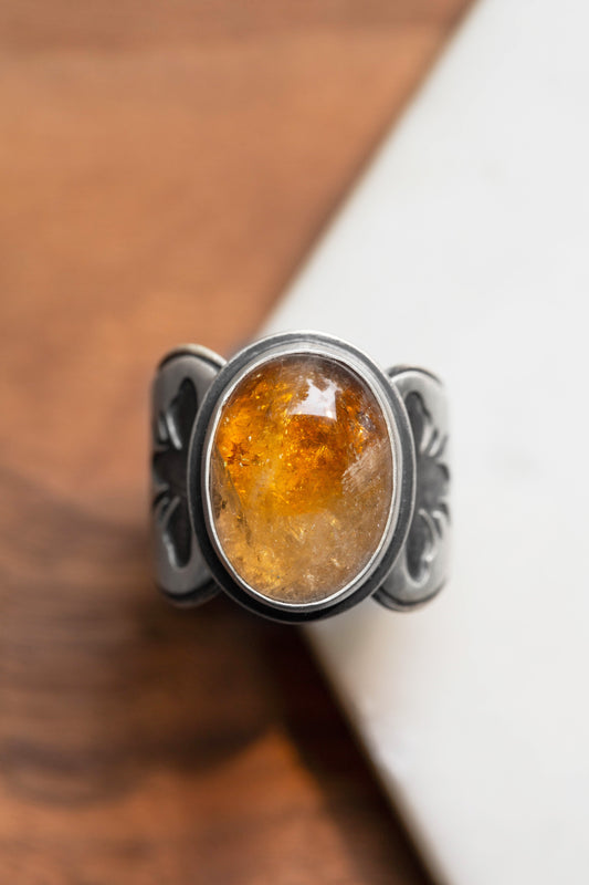 Size 10.75 | Apiary Ring | #30