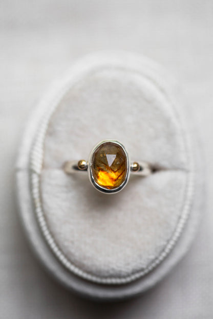 Size 8 | Nectar Ring | #24