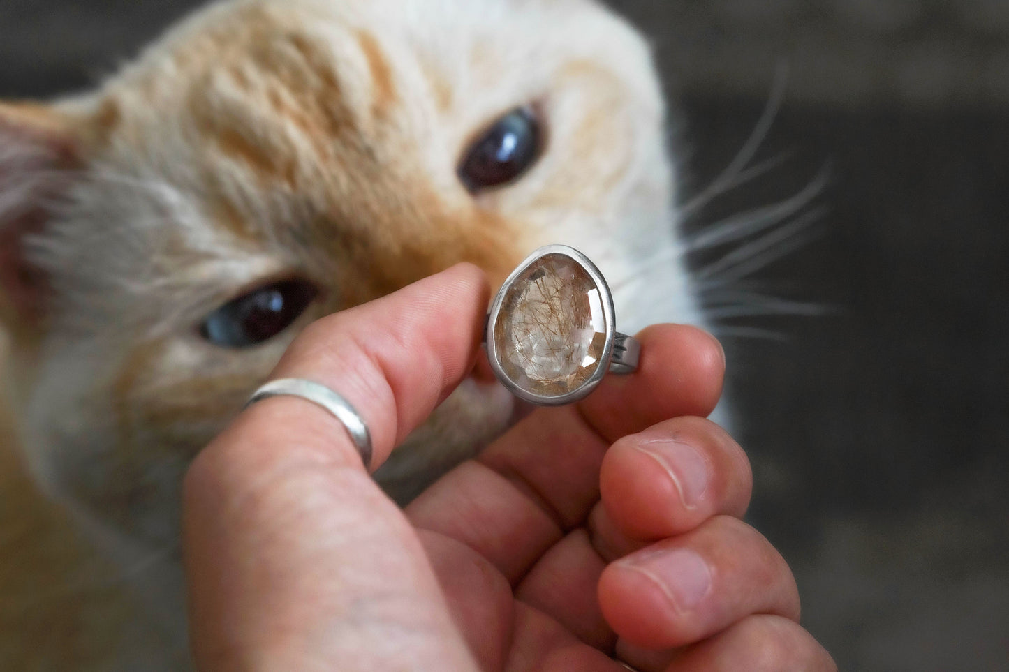 Size 7.5  |  Companion Ring  |  #26