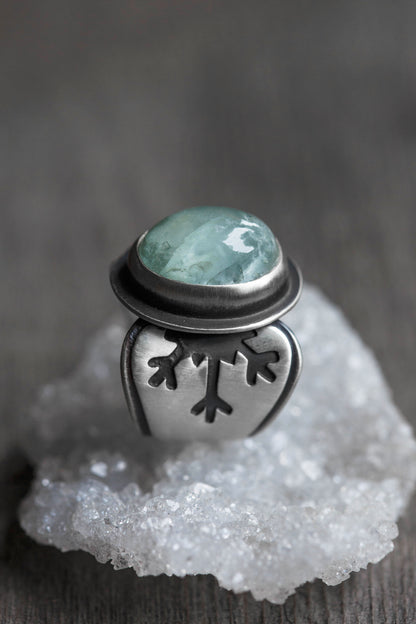 Size 6.5  |  January Ring  |  #1