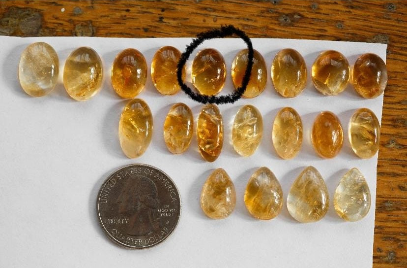 Reserved: Size 6 | Apiary Ring (with Express Shipping $15)